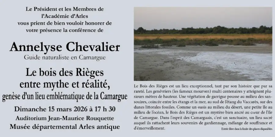 chevalier Affiche Annelyse Chevalier