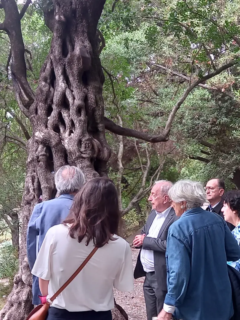 Sortie au jardin des plantes à Montpellier
